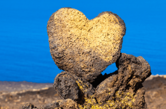 Where to find a heart shape in nature?