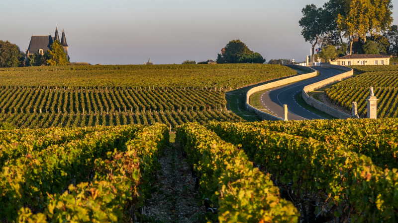 Bordeaux in the south of France - wine regions