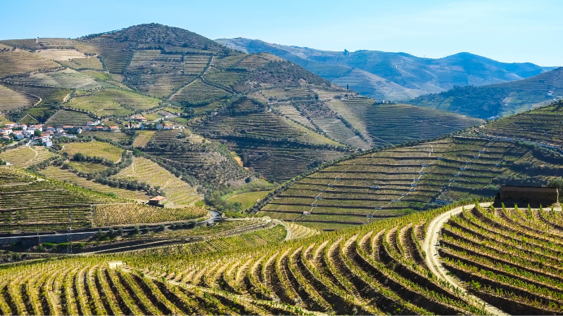 Douro in Portugal - wine regions