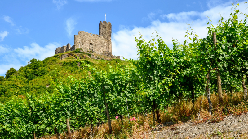 Moselle Valley in Germany - wine regions