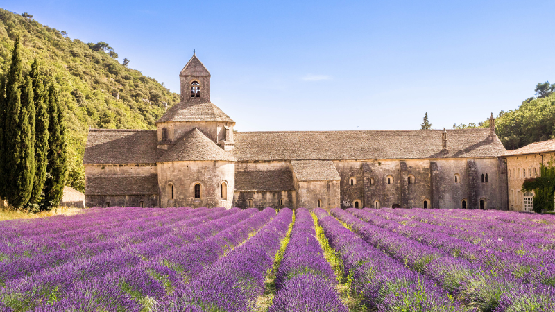 Sénanque Monastery, Provence France