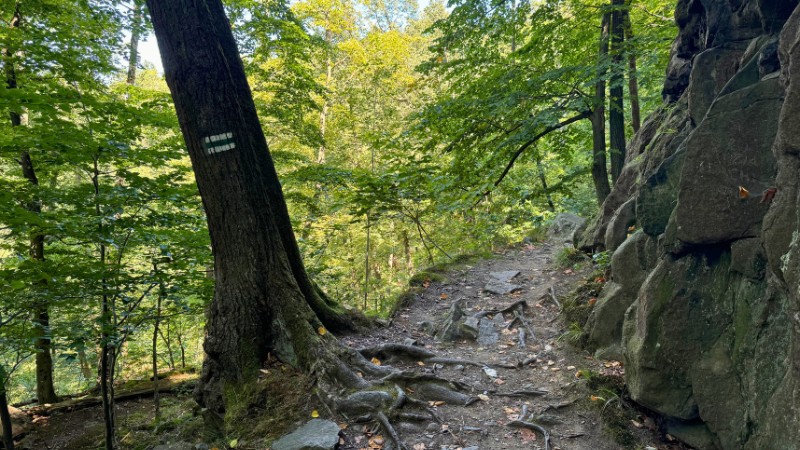 Trail Książ Castle